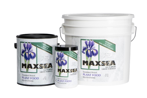 Maxsea Plant Food 16-16-16 All Purpose