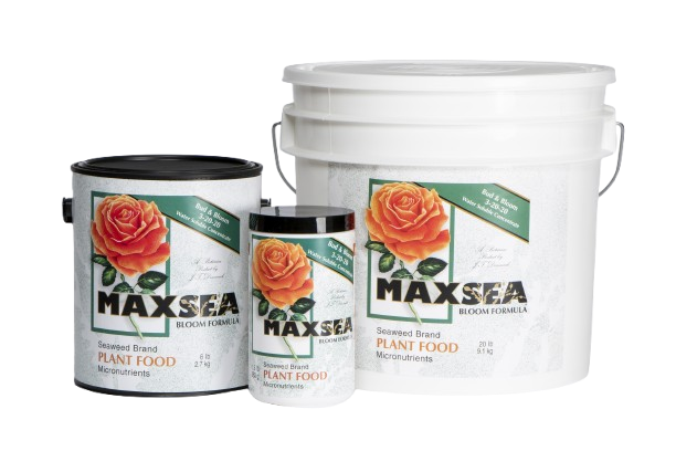Maxsea Plant Food 3-20-20 Bud & Bloom
